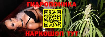 СК Ипатово